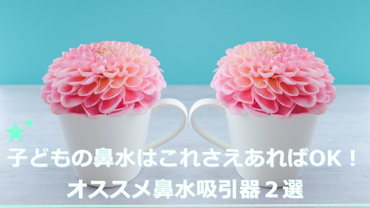 オススメ鼻水吸引器２選