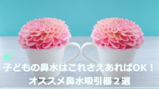 オススメ鼻水吸引器２選